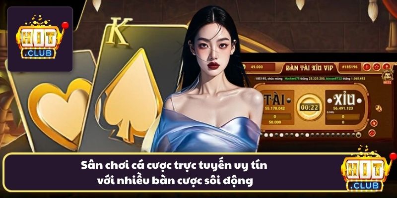 Sân chơi cá cược trực tuyến uy tín với nhiều bàn cược sôi động